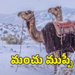 Saudi Deserts Snowfall: సౌదీ ఎడారులలో మంచు వర్షం.. భారత్ కు పెద్ద హెచ్చరికే!