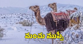 Saudi Deserts Snowfall: సౌదీ ఎడారులలో మంచు వర్షం.. భారత్ కు పెద్ద హెచ్చరికే!