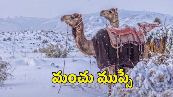 Saudi Deserts Snowfall: సౌదీ ఎడారులలో మంచు వర్షం.. భారత్ కు పెద్ద హెచ్చరికే!
