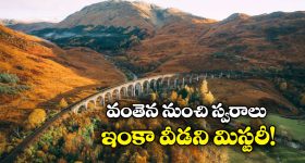 Maoist Party: మావోయిస్ట్ పార్టీకి భారీ షాక్.. డీజీపీ ముందు 41 మంది లొంగుబాటు, ఇందులో కీలక నేతలు కూడా..?