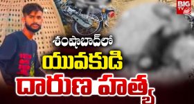 Tata Harrier Petrol vs Diesel: టాటా హారియర్ పెట్రోల్ vs డీజిల్.. ఏది బెస్ట్? ఎందుకు?