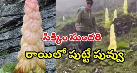 KTR : కేటీఆర్‌కు అరెస్టు భయం?.. అందుకే అలా హింట్ ఇచ్చారా?
