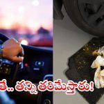 Singapore: సింగపూర్‌లో ఇండియన్స్ అరాచకం.. ఫుల్‌గా తాగి కారులో వాంతులు, డ్రైవర్‌తో లొల్లి