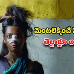 OTT Movie : ఏం సినిమా సామీ… అరేంజ్డ్ మ్యారేజ్ తో అల్లాడిపోయే పెళ్ళాం… రాత్రైతే చాలు వీధుల్లో