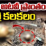 Skull Scare: హైదరాబాద్‌లో మహిళ పుర్రె కలకలం.. ఇంతకీ ఎవరామె?