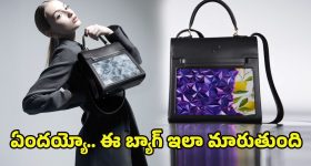 Smart Handbag: రంగులు మార్చే ఊసరవెల్లి బ్యాగ్ ఇది.. జస్ట్ ఇలా చేస్తే నచ్చిన డిజైన్‌, కలర్‌కు మారిపోద్ది