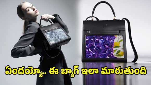 Smart Handbag: రంగులు మార్చే ఊసరవెల్లి బ్యాగ్ ఇది.. జస్ట్ ఇలా చేస్తే నచ్చిన డిజైన్‌, కలర్‌కు మారిపోద్ది