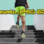 Stair Workout: జిమ్‌ అవసరం లేదు.. రోజూ మెట్లు ఎక్కితే చాలు, ఫిట్‌నెస్ ఫలితాలు చూసి ఆశ్చర్యపోతారు!