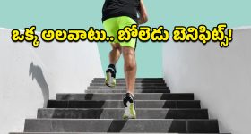 Stair Workout: జిమ్‌ అవసరం లేదు.. రోజూ మెట్లు ఎక్కితే చాలు, ఫిట్‌నెస్ ఫలితాలు చూసి ఆశ్చర్యపోతారు!