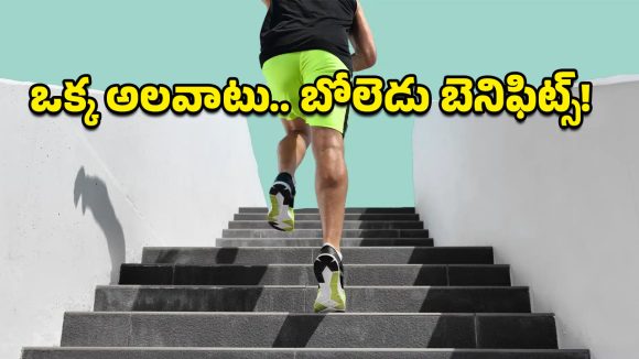 Stair Workout: జిమ్‌ అవసరం లేదు.. రోజూ మెట్లు ఎక్కితే చాలు, ఫిట్‌నెస్ ఫలితాలు చూసి ఆశ్చర్యపోతారు!