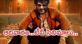 Weekly Horoscope: ఈ వారం ఆ రాశి వారికి సమస్యలు పరిష్కారం - వారికి రాజకీయ నాయకుల పరిచయం