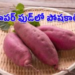 Sweet Potatoes: శీతాకాలంలో చిలగడదుంప ఎందుకు తినాలో తెలుసా?.. ఈ బెనిఫిట్స్ తెలిస్తే ఆశ్చర్యపోతారు!