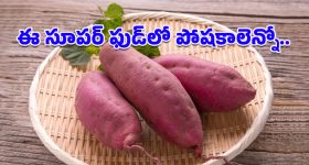 Moto G54 5G Smartphone: ఏంటి బ్రో ఈ ఫోన్ జస్ట్ రూ.16వేలా.. మోటో జి54 ఫస్ట్ లుక్ అదుర్స్