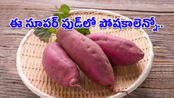 Sweet Potatoes: శీతాకాలంలో చిలగడదుంప ఎందుకు తినాలో తెలుసా?.. ఈ బెనిఫిట్స్ తెలిస్తే ఆశ్చర్యపోతారు!