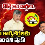 TDP Parliamentary: కొత్త ఇంచార్జీలు.. టీడీపీ కార్యకర్తలకు ఊహించని షాక్