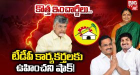 TDP Parliamentary: కొత్త ఇంచార్జీలు.. టీడీపీ కార్యకర్తలకు ఊహించని షాక్