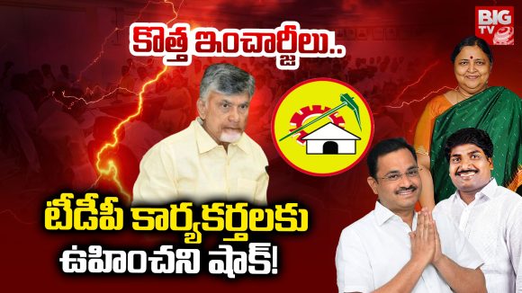 TDP Parliamentary: కొత్త ఇంచార్జీలు.. టీడీపీ కార్యకర్తలకు ఊహించని షాక్