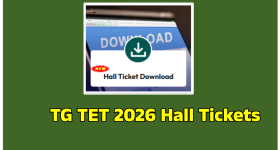 TG TET Halltickets: తెలంగాణ టెట్ హాల్ టికెట్లు విడుదల.. డైరెక్ట్ లింక్ ఇదే