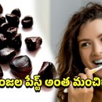 Tamarind seed paste: చింత గింజల పేస్టు.. దంత సమస్యలకు సహజ పరిష్కారమా?