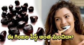 Tamarind seed paste: చింత గింజల పేస్టు.. దంత సమస్యలకు సహజ పరిష్కారమా?