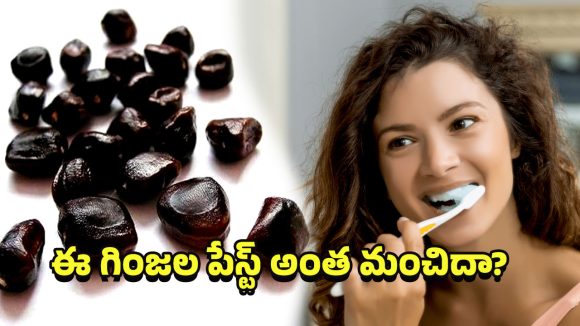 Tamarind seed paste: చింత గింజల పేస్టు.. దంత సమస్యలకు సహజ పరిష్కారమా?