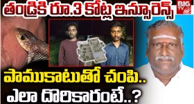 Tamil Nadu: తండ్రికి రూ. 3 కోట్ల ఇన్సూరెన్స్.. పాముకాటుతో చంపి..  ఎలా దొరికారంటే..?
