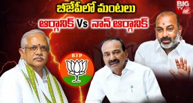 Ram Pothineni-Bhagyasri: ఆంధ్ర కింగ్‌ తాలుకా ఎఫెక్ట్‌.. విడిపోతున్న లవ్‌బర్డ్స్‌!