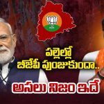Telangana BJP: పల్లెల్లో బీజేపీ పుంజుకుందా.. అసలు నిజం ఇదే..