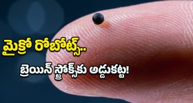 Top 20 News Today: రాజకీయాల నుంచి రిటైర్.. ఒంగోలు ఎంపీ, డిజిటల్ అరెస్ట్‌లపై సుప్రీంకోర్టు సీరియస్