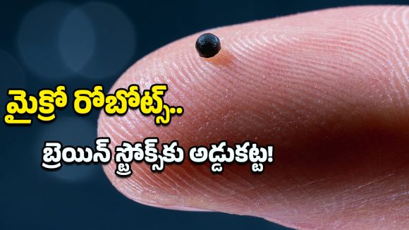 Tiny Robots: వైద్య రంగంలో కీలక ముందడుగు.. బ్రెయిన్ స్ట్రోక్‌ను ఓడించడానికి మైక్రో రోబోట్స్ సిద్ధం!