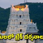 Tirumala Break Darshan: తిరుమల శ్రీవారి భక్తులకు అలర్ట్.. డిసెంబర్, జనవరిలో వీఐపీ బ్రేక్ దర్శనాలు రద్దు