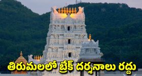 Tirumala Break Darshan: తిరుమల శ్రీవారి భక్తులకు అలర్ట్.. డిసెంబర్, జనవరిలో వీఐపీ బ్రేక్ దర్శనాలు రద్దు