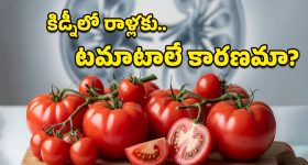 Weather Update: తెలంగాణలో భీకరంగా పెరుగుతున్న చలి.. రాబోయే మూడు రోజులు  జాగ్రత్త..!