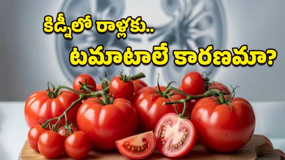 Tomatoes: టమాటాల వల్లే కిడ్నీలో రాళ్లు ఏర్పడతాయా?.. డాక్టర్లు చెప్పిన నిజాలు వింటే నమ్మలేరు!