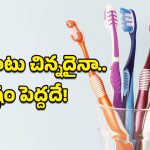 Toothbrush: టూత్‌బ్రష్ విషయంలో చాలామంది చేసే తప్పులు ఇవే.. మీరు కూడా చేస్తున్నారా?