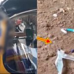 Drug Overdose: డ్రగ్స్ ఓవర్ డోస్! చాంద్రాయణగుట్టలో ఆటోలో డెడ్ బాడీస్