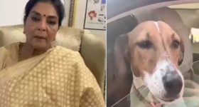 Renuka Chowdary: కరిచేవాళ్లు లోపలే ఉన్నారు.. పెంపుడు కుక్కతో పార్లమెంటులోకి రేణుకా చౌదరి