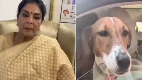Renuka Chowdary: కరిచేవాళ్లు లోపలే ఉన్నారు.. పెంపుడు కుక్కతో పార్లమెంటులోకి రేణుకా చౌదరి