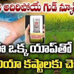 Fertilizer Booking App: రైతులకు గుడ్ న్యూస్.. ఇంటి నుంచే యూరియా బుకింగ్