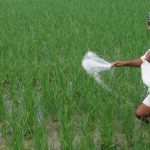 Urea Distribution: యాసంగి సీజన్‌లో యూరియా సరఫరాకు ప్రత్యేక నజర్.. రంగంలోకి స్పెషల్ ఆఫీసర్లు