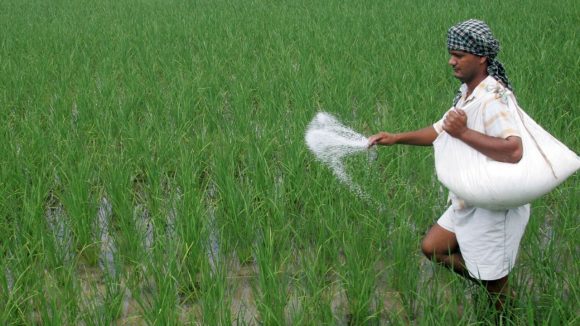 Urea Distribution: యాసంగి సీజన్‌లో యూరియా సరఫరాకు ప్రత్యేక నజర్.. రంగంలోకి స్పెషల్ ఆఫీసర్లు