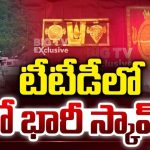 TTD Silk Dupatta Scam: టీటీడీలో మరో కుంభకోణం.. పట్టు వస్త్రాల పేరుతో రూ.55 కోట్ల స్వాహా !