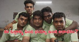 OTT Movie : రచయిత భార్య మిస్సింగ్... వింత శక్తితో పూనకాలు... 'కాంతారా' లాంటి సినిమా