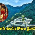Vaishno Devi Darshan Yatra: కేవలం రూ.9వేలలోపే మాతా వైష్ణో దేవి దర్శన యాత్ర.. ఐఆర్‌సీటిసి ప్రత్యేక ప్యాకేజ్