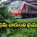Vande Bharat Train: ఫుల్లుగా తాగి ట్రాక్ మీద ఆటోను వదిలేసిన డ్రైవర్, ఒక్కసారిగా వందేభారత్..