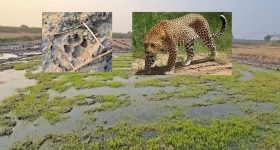 Sabari Express: అయ్యప్ప స్వాములు జర్రంతా భద్రం.. ట్రైన్‌ జర్నీలో చేస్తే ప్రాణాలకే ప్రమాదం..!