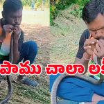 Viral Video: పాము నోట్లో నోరు పెట్టి.. వామ్మో, అలా చేశావేంటి భయ్యా!
