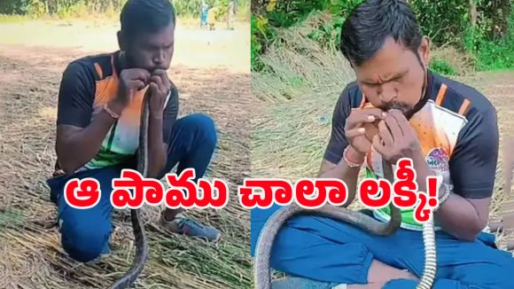 Viral Video: పాము నోట్లో నోరు పెట్టి.. వామ్మో, అలా చేశావేంటి భయ్యా!