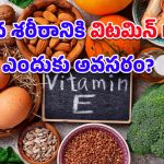 Vitamin E: ‘విటమిన్ ఈ’ రోజుకు ఎంత అవసరం? ఏయే ఆహారాల్లో లభిస్తుంది? పూర్తి వివరాలు ఇవిగో..