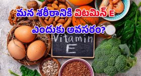 Vitamin E: ‘విటమిన్ ఈ’ రోజుకు ఎంత అవసరం? ఏయే ఆహారాల్లో లభిస్తుంది? పూర్తి వివరాలు ఇవిగో..